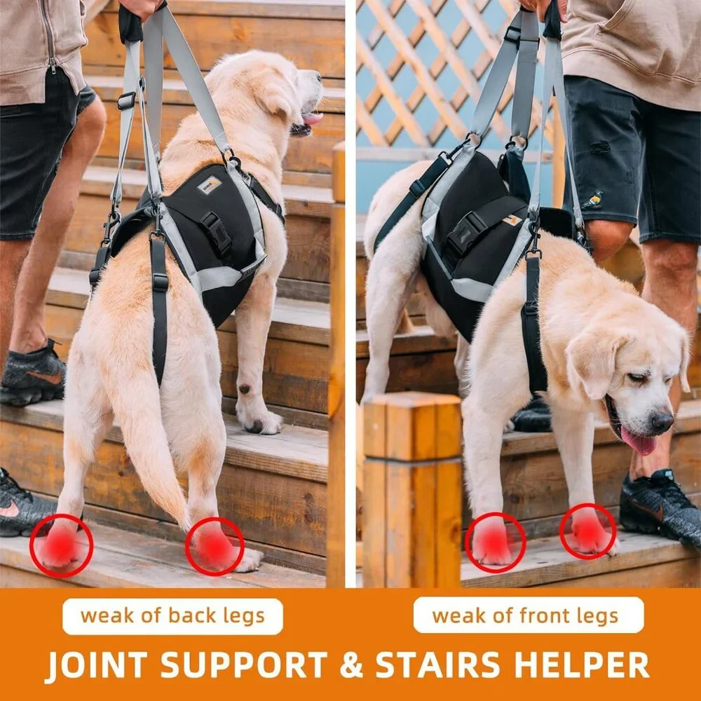 Dog Lift Harness for Large Dogs